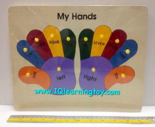 ภาพตัดต่อสอนเรื่องมือของฉัน สื่อแทนอวัยวะมือของฉัน สอนจำนวนนับนิ้วมือ และการเรียกชื่อมือทั้ง 2 ข้างให้ถูกต้อง