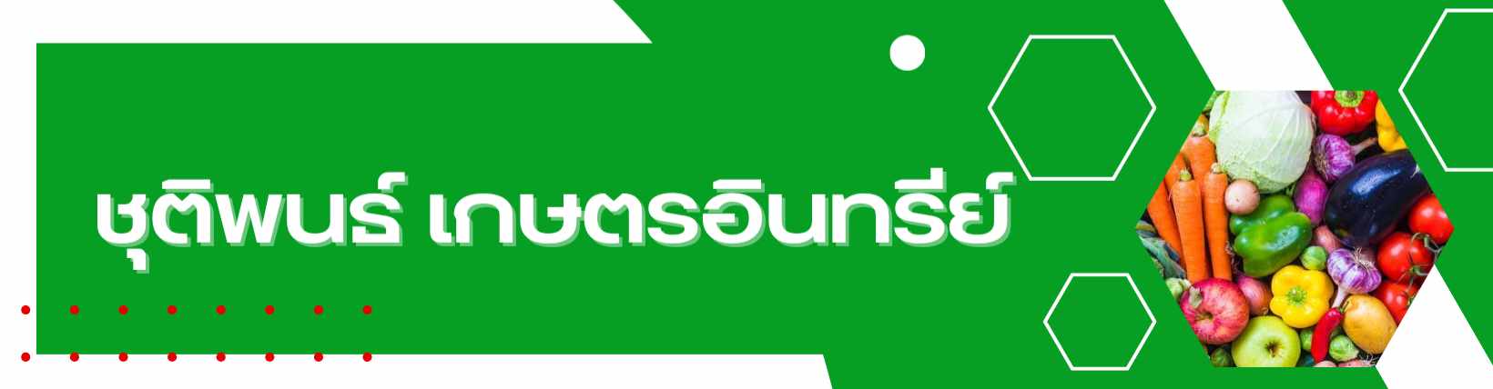 ชุติพนธ์ เกษตรอินทรีย์