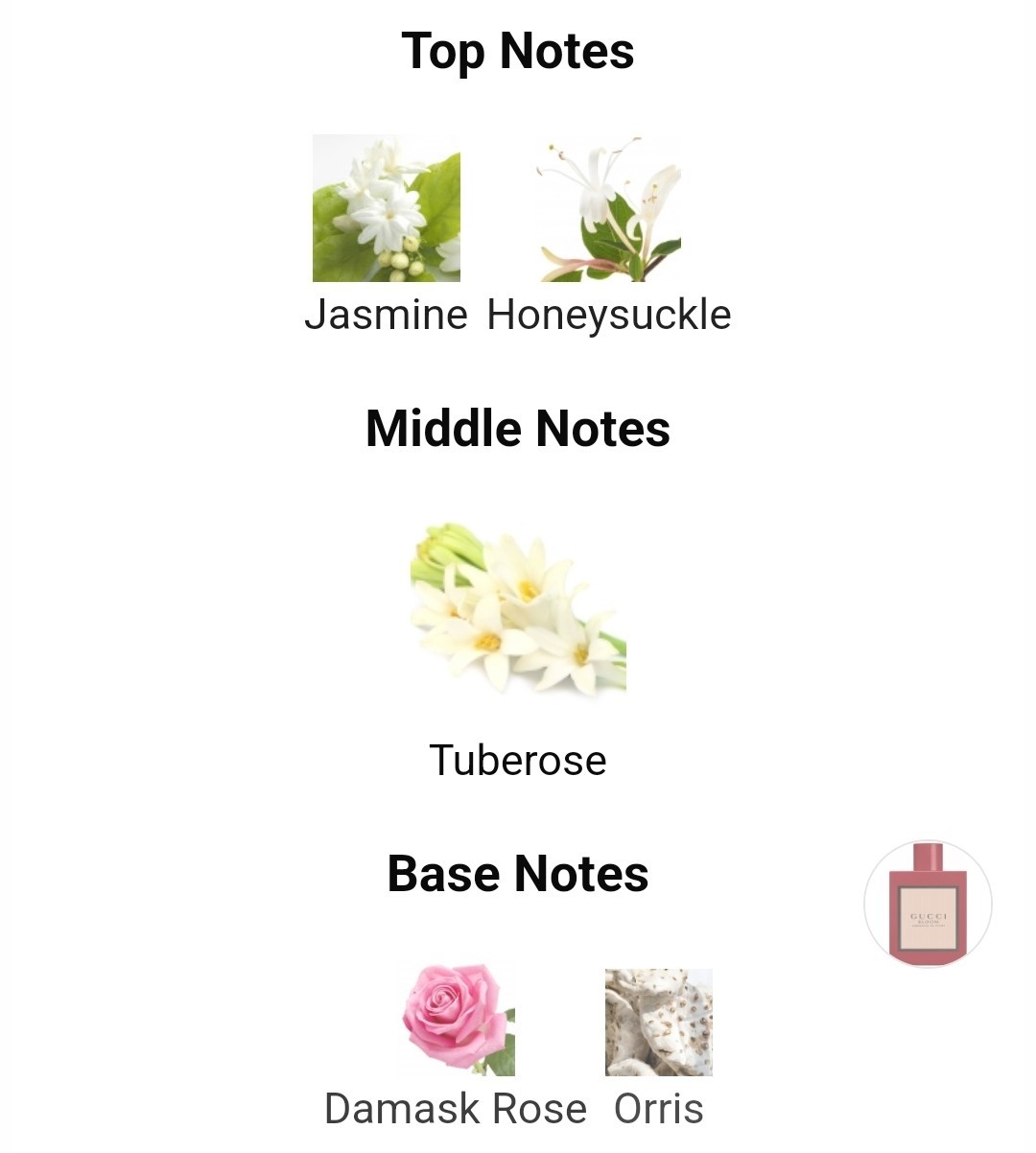 น้ำหอมแท้แบ่งขาย Gucci Bloom Ambrosia Di Fiori EDP Intense 💕Travel Size แบบทดลอง