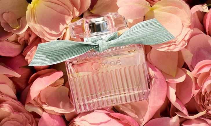 น้ำหอมจิ๋วมินิ Chloe Signature Naturelle Eau De Parfume 5ml แบบแต้มมีกล่อง ( Mini Perfume น้ำหอมขนาดพกพา) น้ำหอมจิ๋วมินิ ขวดน่ารัก ตั้งโชว์ก็สวย พกพาก็สะดวก หัวแต้มตามจุดชีพจร