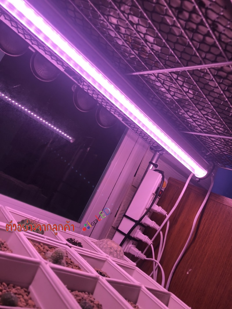 หลอดไฟปลูกต้นไม้ LED T8 35W ยาว 90CM 144 LED Grow Light AC 220V