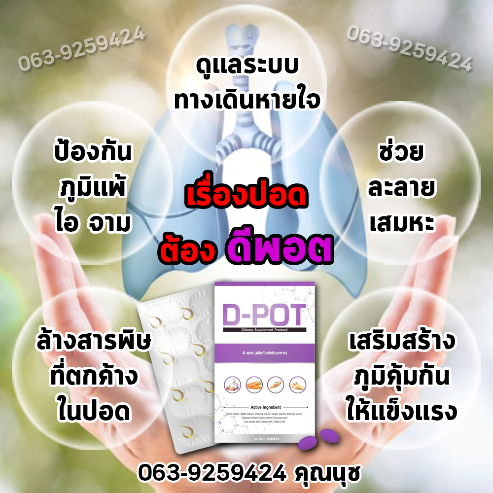 LC แอลซี 🔥ส่งฟรี ดีท็อกซ์ปอด วิตามินบำรุงปอด Lung care อาหารเสริมบำรุงปอด | Shopee Thailand