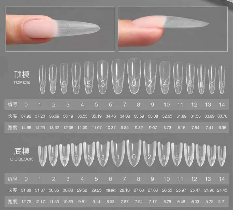 แม่พิมพ์ต่อเล็บโพลีเจล 240ชิ้น ทรงโค้งใส 3D 💅 แม่พิมพ์สร้างเล็บอะคริลิค ปลายเรียวสวย ใช้งานง่าย ประหยัดเวลา