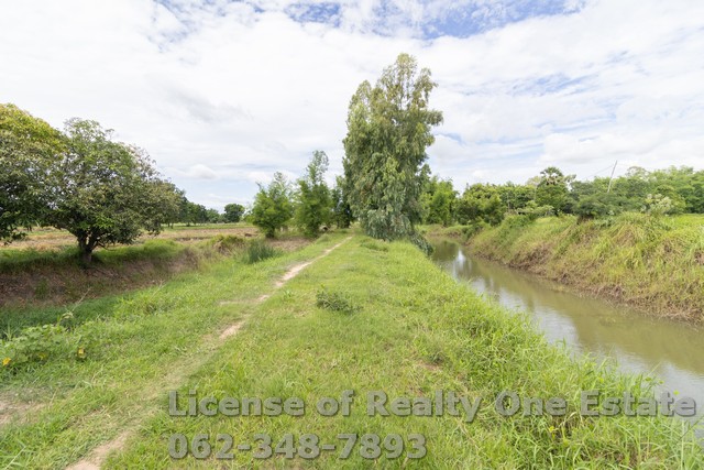 ขายที่ดิน ติดถนนคอนกรีต ติดลำห้วย ต.หนองบัวน้อย อ.สีคิ้ว จ.นครราชสีมา