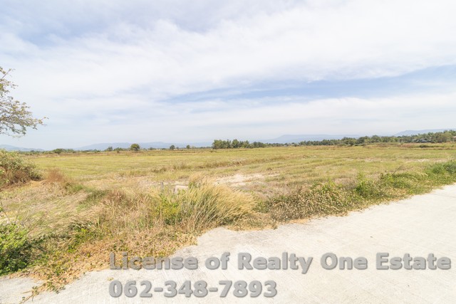 ขายที่ดิน ติดถนนคอนกรีต ต.เกาะหวาย อ.ปากพลี จ.นครนายก ราคาไม่แพง