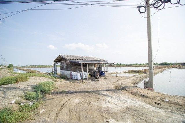 ขาย ที่ดิน นาเกลือ ติดถนนสาย 2020 ต.บ้านบ่อ อ.เมือง สมุทรสาคร