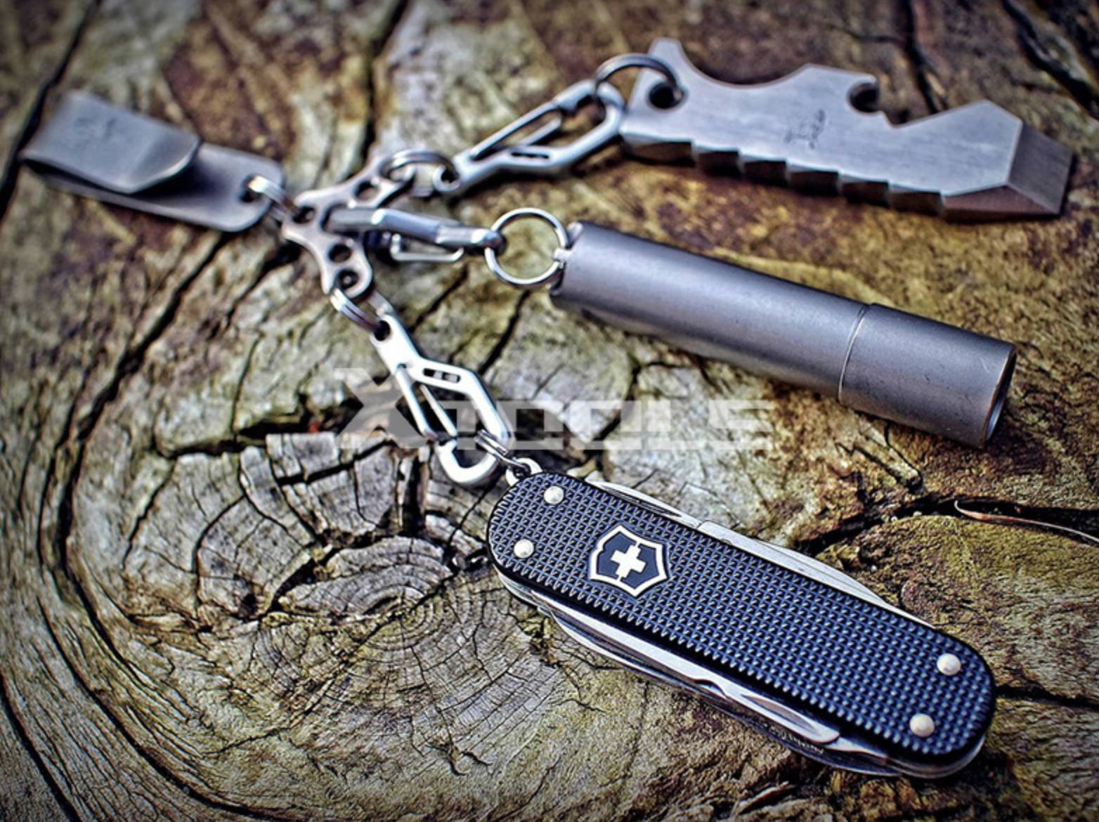 คลิป TEC - python clip คู่ละ