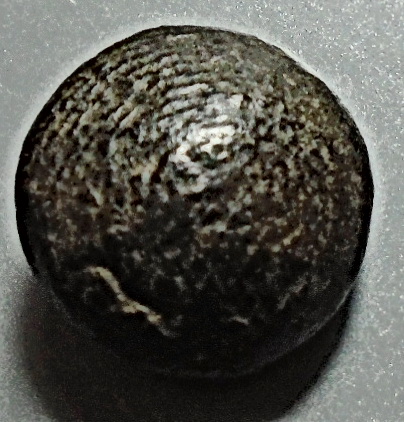 พระปิดตาพิมพ์เม็ดกระดุม หลวงปู่เชย วัดโพธิ์ทองล่าง จ.นนทบุรี