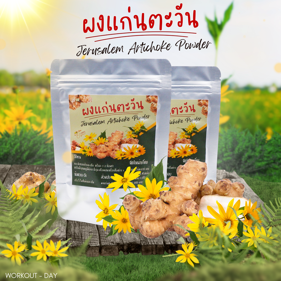 ผงแก่นตะวัน Jerusalem artichoke Organic