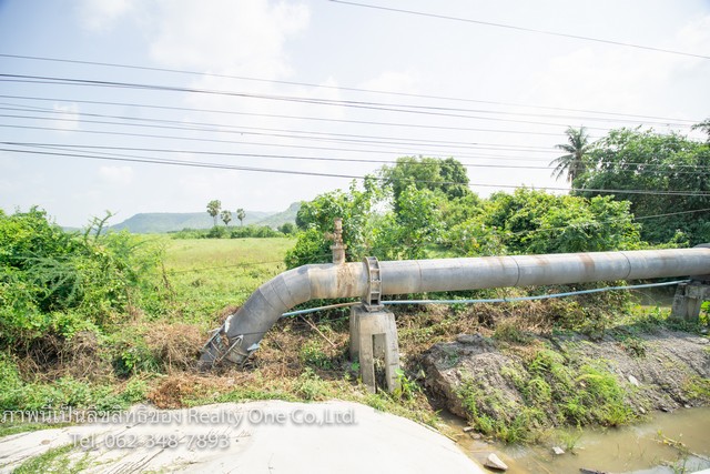 ขาย ที่ดิน นส.3 ก. แปลงสวย ติด ถ.สุรนารายณ์ ชัยบาดาล ลพบุรี