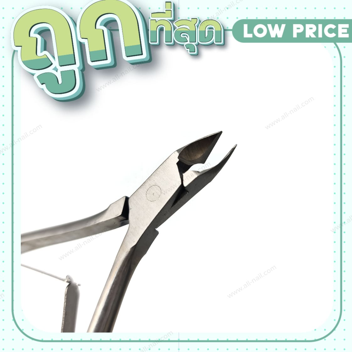 กรรไกรตัดหนัง กรรไกรปากโค้ง ตัดเล็บขบ ⚡⚡ ยี่ห้อ Solingen ⚡⚡ ราคาคุ้มค่า