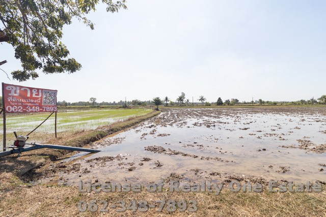 ขายที่ดิน ต.ศรีนาวา อ.เมือง จ.นครนายก เนื้อที่ 5 ไร่ ราคาไม่แพง