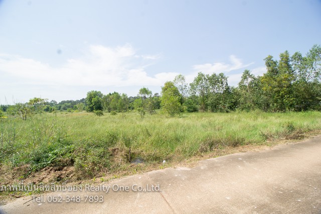 ขาย ที่ดิน ติดถนนคอนกรีต ต.คำโตนด ประจันตคาม นครนายก