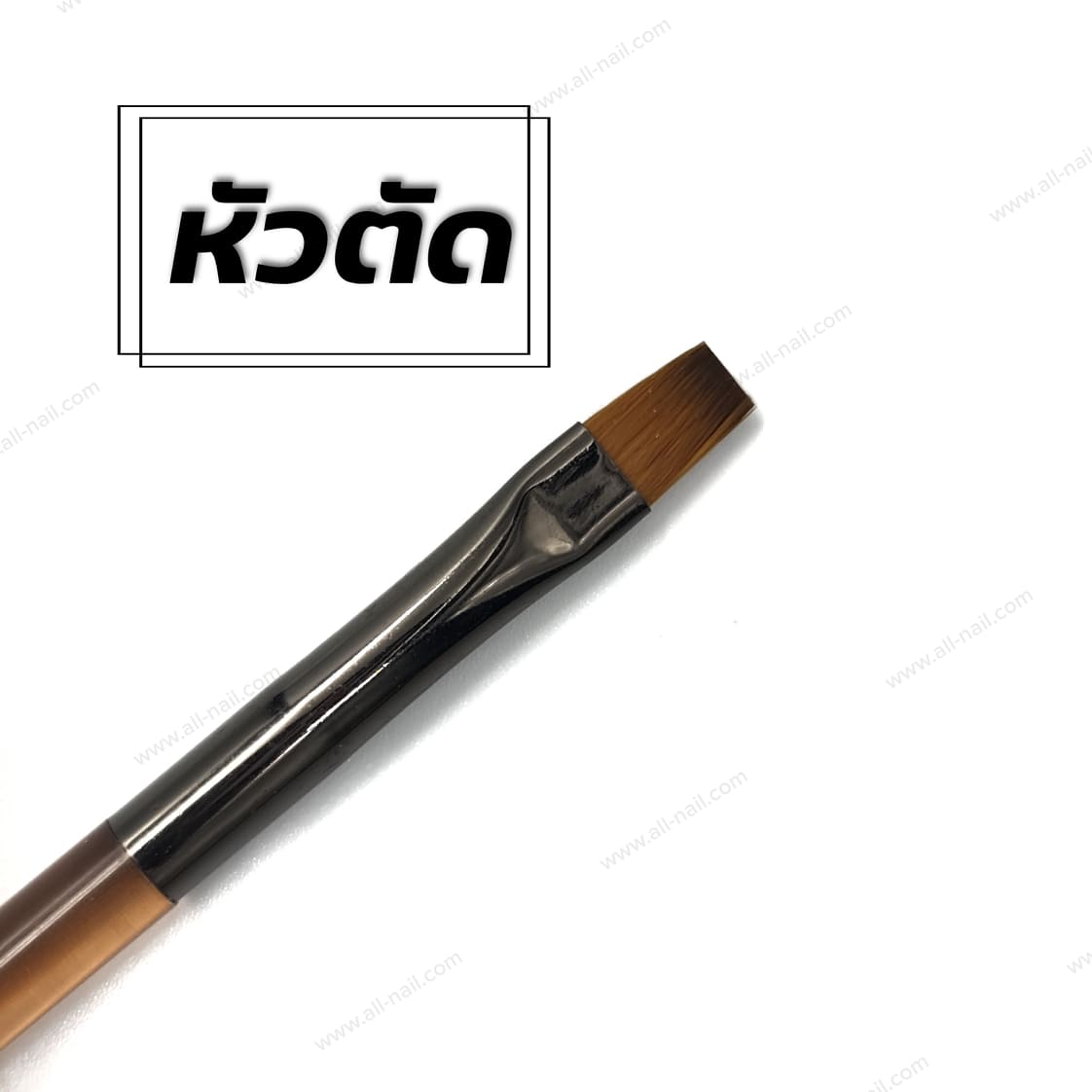 พู่กันทาเจล พู่กันต่อเจล ทาสีเจล ⍟ DINGXI ของแท้ ⍟