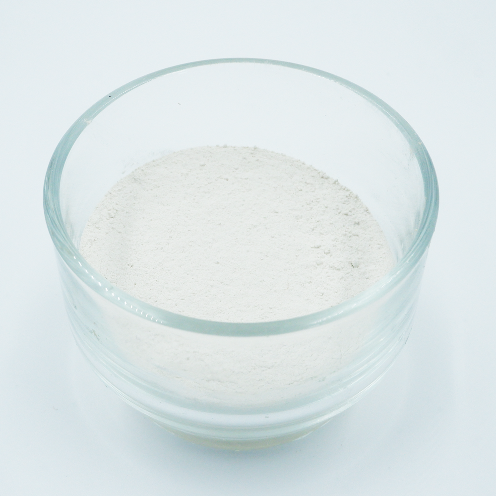 ผงแก่นตะวัน Jerusalem artichoke Organic