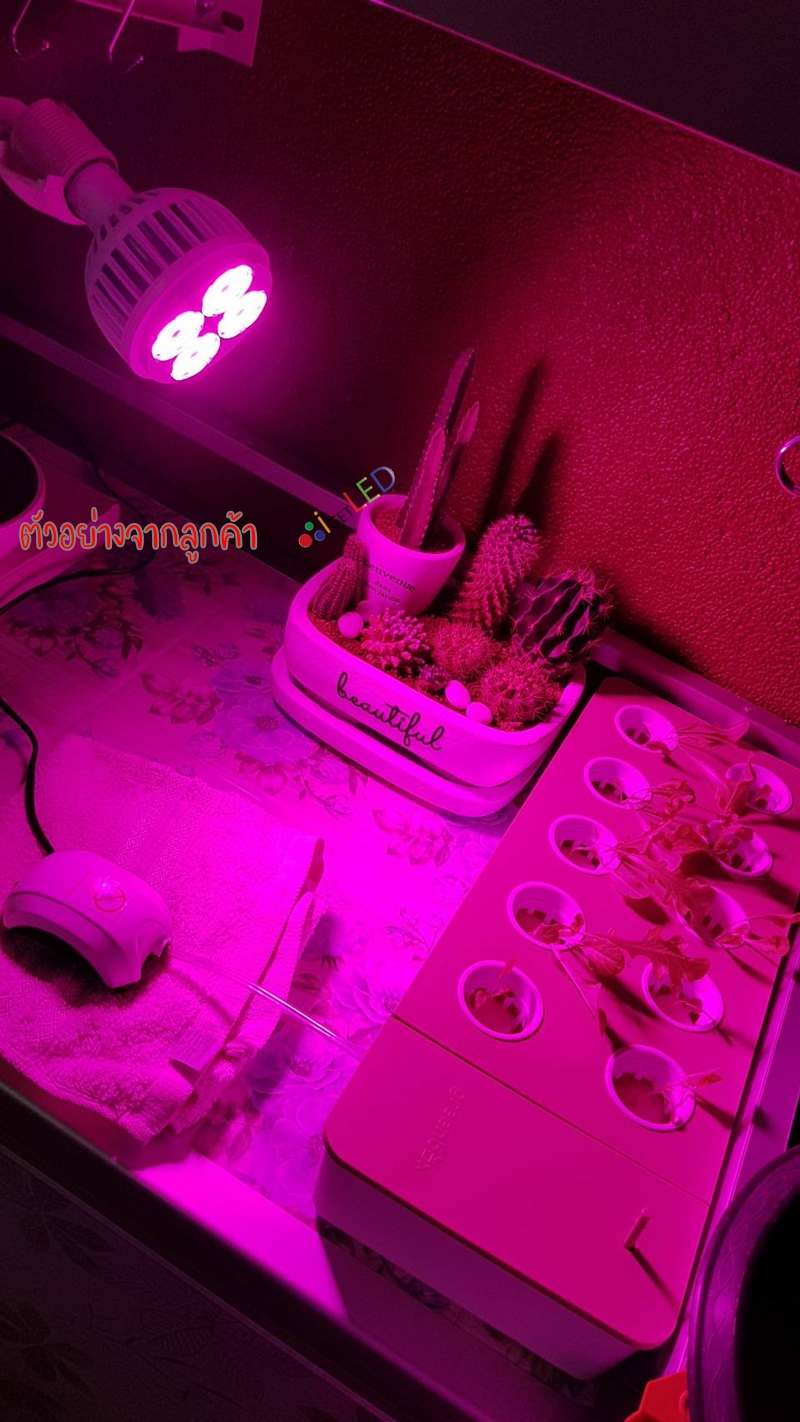 20W LED Grow Light ขั้วเกลียวไฟบ้าน แสงสีชมพู