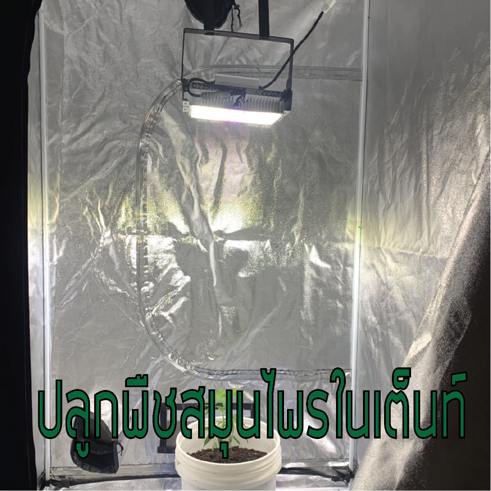 โคมไฟปลูกต้นไม้ GOD-50W LED Grow Light AC 220V ไฟปลูกต้นไม้ ต้นไม้โตเร็วทันใช้ ไฟปลูกพืช ไฟไม้ใบ ไฟปลูกมอนเตอร่า ไฟสีเหลืองทอง 3250K มี LED 660nm