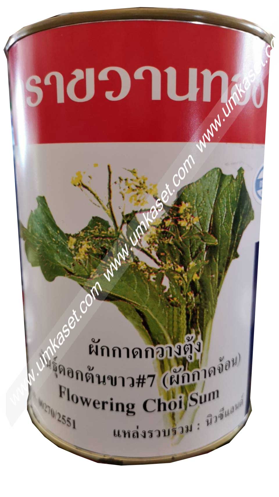 ผักกวางตุ้ง พันธุ์ดอกต้นขาว#7 (ผักกาดจ้อน) 500