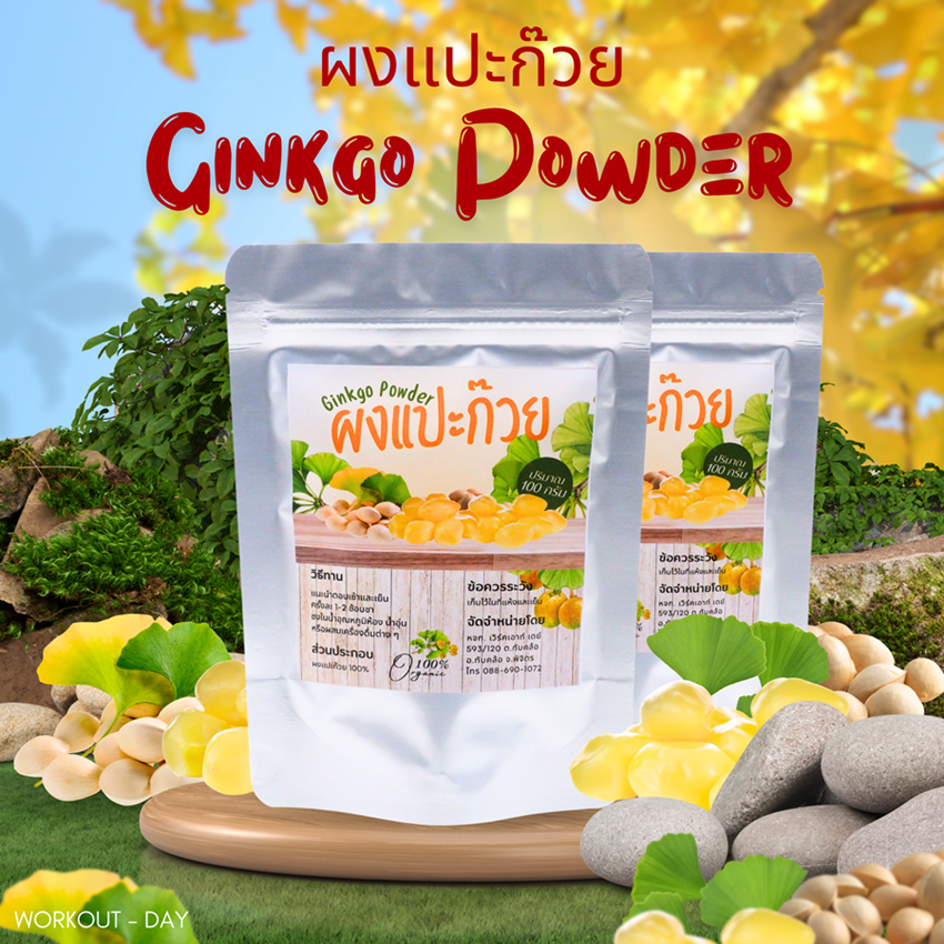 ผงแปะก๊วย เมล็ดแปะก๊วย Ginkgo seeds