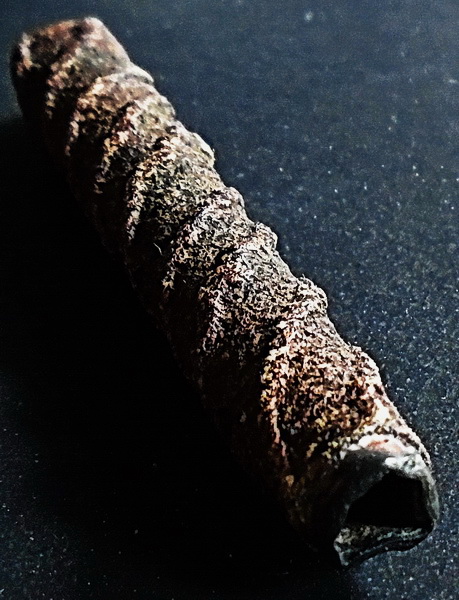 ตะกรุดเก่าถักเชือก ขนาด 2 นิ้ว ไม่ทราบที่