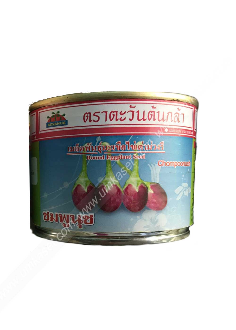 มะเขือ ไข่เต่าม่วงรี ชมพูนุช ตะวันต้นกล้า 20 กรัม