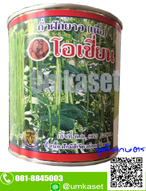 ถั่วฝักยาวเนื้อ โอเชี่ยน ตราเสือ 500 กรัม