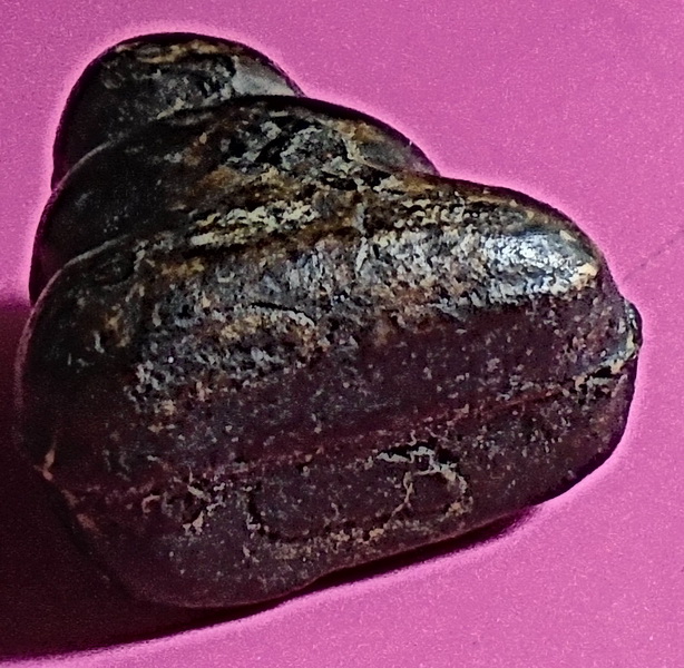 พระปิดตา เนื้อผงจุ่มรัก ลพ.ทองสุข วัดสะพานสูง ปี พ.ศ. ๒๕๐๖-๒๕๑๕