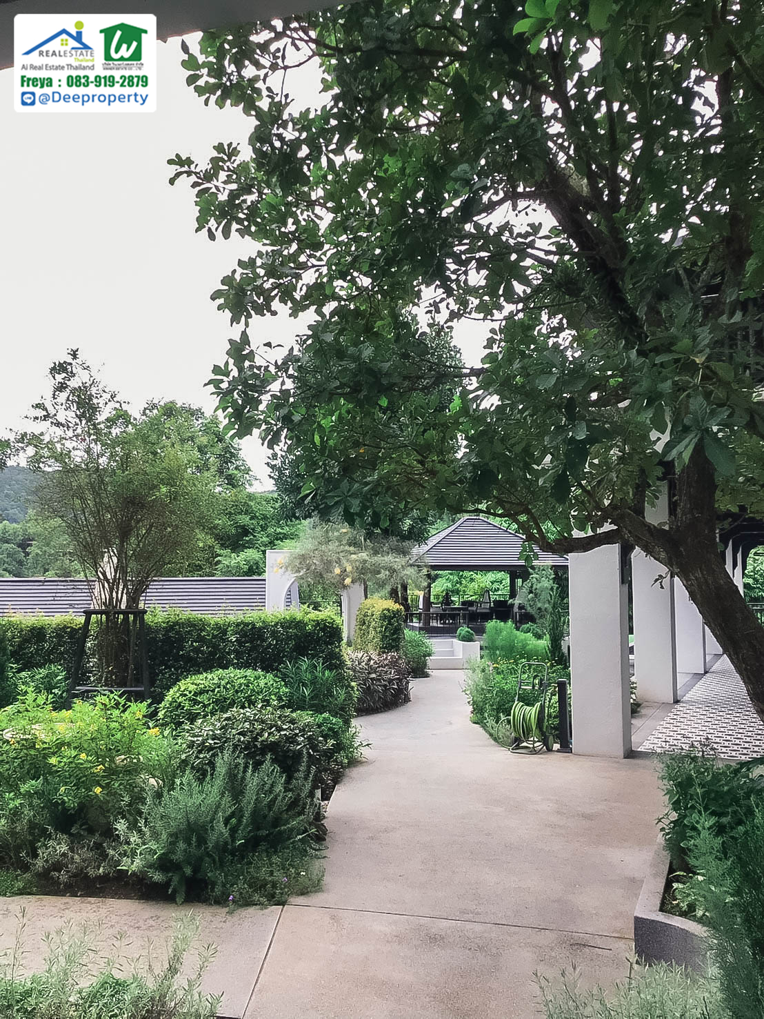 🏡 ขายรีสอร์ทหรูเพื่อสุขภาพ Perana Wellness Resort เชียงใหม่ ⛰️ พร้อมดำเนินกิจการต่อได้ทันที! คืนทุนเร็ว✨