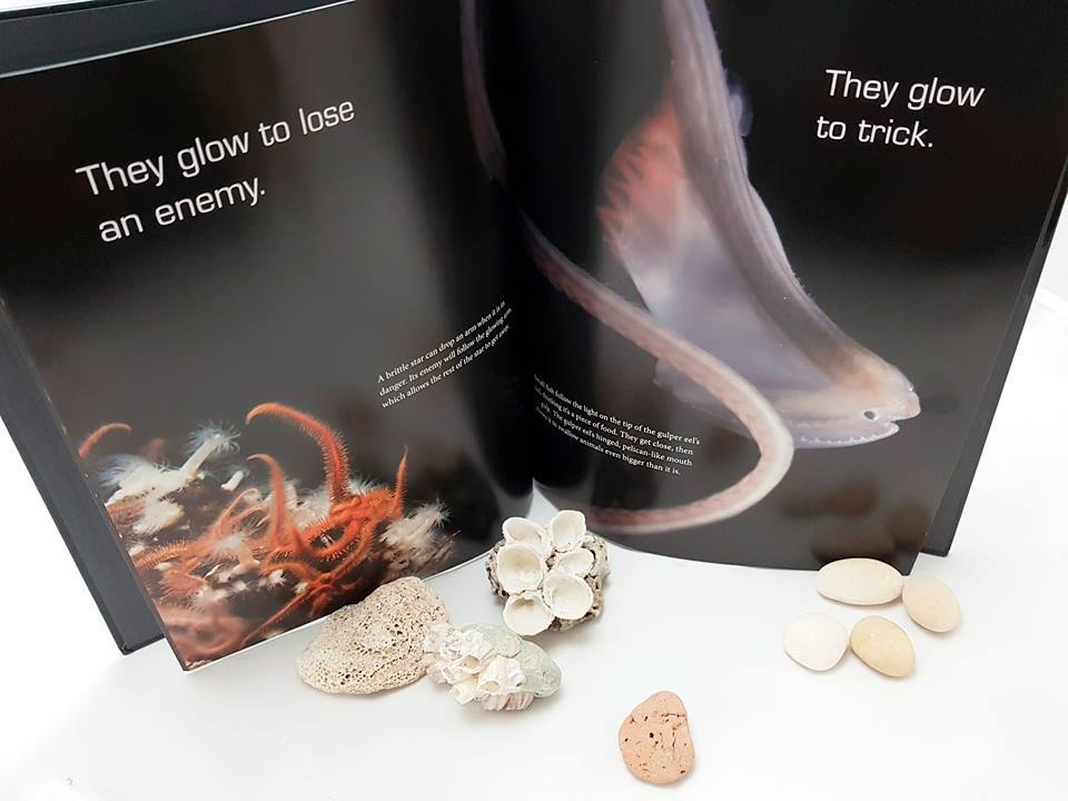 Glow : Animals with Their Own Night-Lights by W.H BECK (10 Awards)