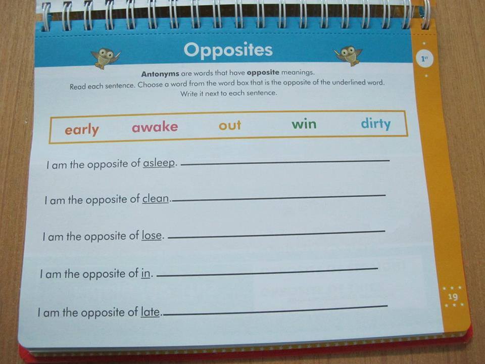 Get Ready for School First Grade Laptop Workbook: Sight Words, Beginning Reading, Handwriting, Vowels & Consonants, Word Families