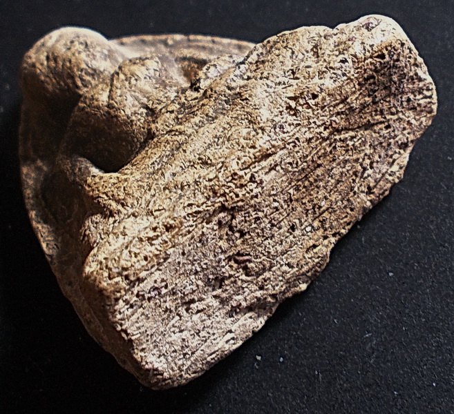 ลพ.โต ปางมารวิชัย เนื้อดิน กรุบางกระทิง อยุธยา