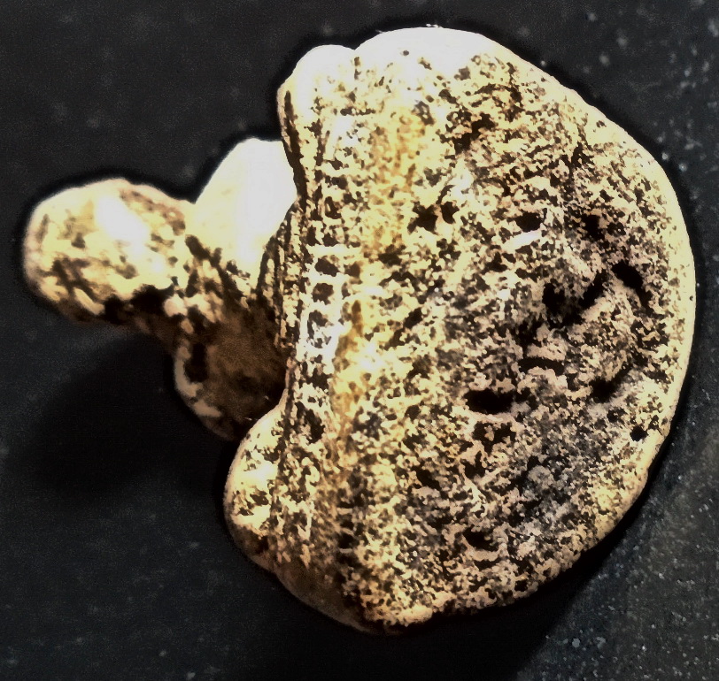 รูปเหมือนลอยองค์ เนื้อผงยาจินดามณี ลป.เจือ วัดกลางบางแก้ว