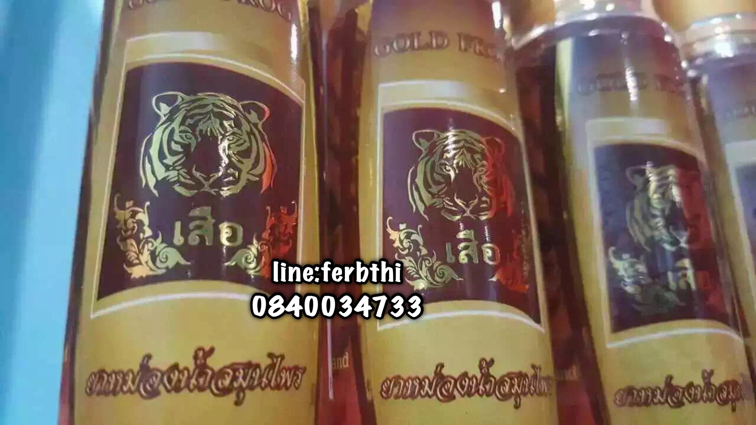 ยาหม่องน้ำสมุนไพรพญาเสือตรา gold frog