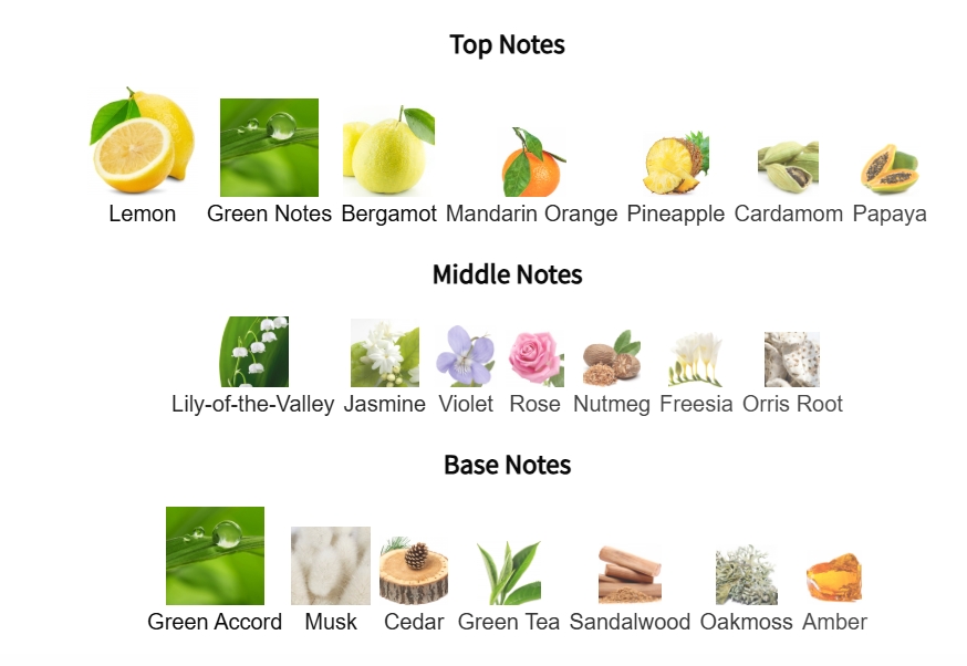 น้ำหอมแท้ Calvin Klein Ck One EDT 300 ML. กล่องจริง