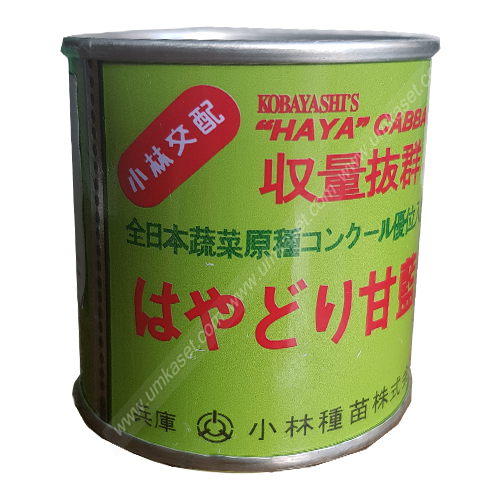 กะหล่ำปลี เบอร์1 / HAYA ตราลูกโลก