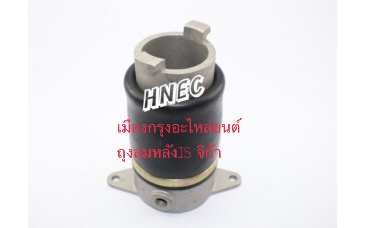 ถุงลมหลังอีซูซุจิก้า