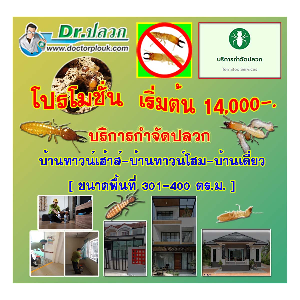 Dr.ปลวก [บริการกำจัดปลวก] บ้านทาวน์เฮ้าส์-บ้านทาวน์โฮม-บ้านเดี่ยว (ขนาดพื้นที่ 301-400 ตร.ม.)
