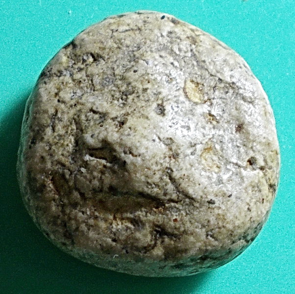 พระสังกัจจายน์ เนื้อผงน้ำมัน กรุอัมพวา