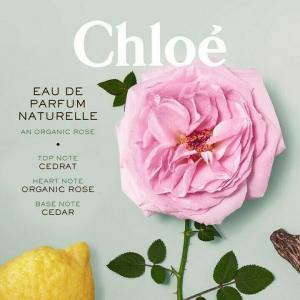 น้ำหอมจิ๋วมินิ Chloe Signature Naturelle Eau De Parfume 5ml แบบแต้มมีกล่อง ( Mini Perfume น้ำหอมขนาดพกพา) น้ำหอมจิ๋วมินิ ขวดน่ารัก ตั้งโชว์ก็สวย พกพาก็สะดวก หัวแต้มตามจุดชีพจร