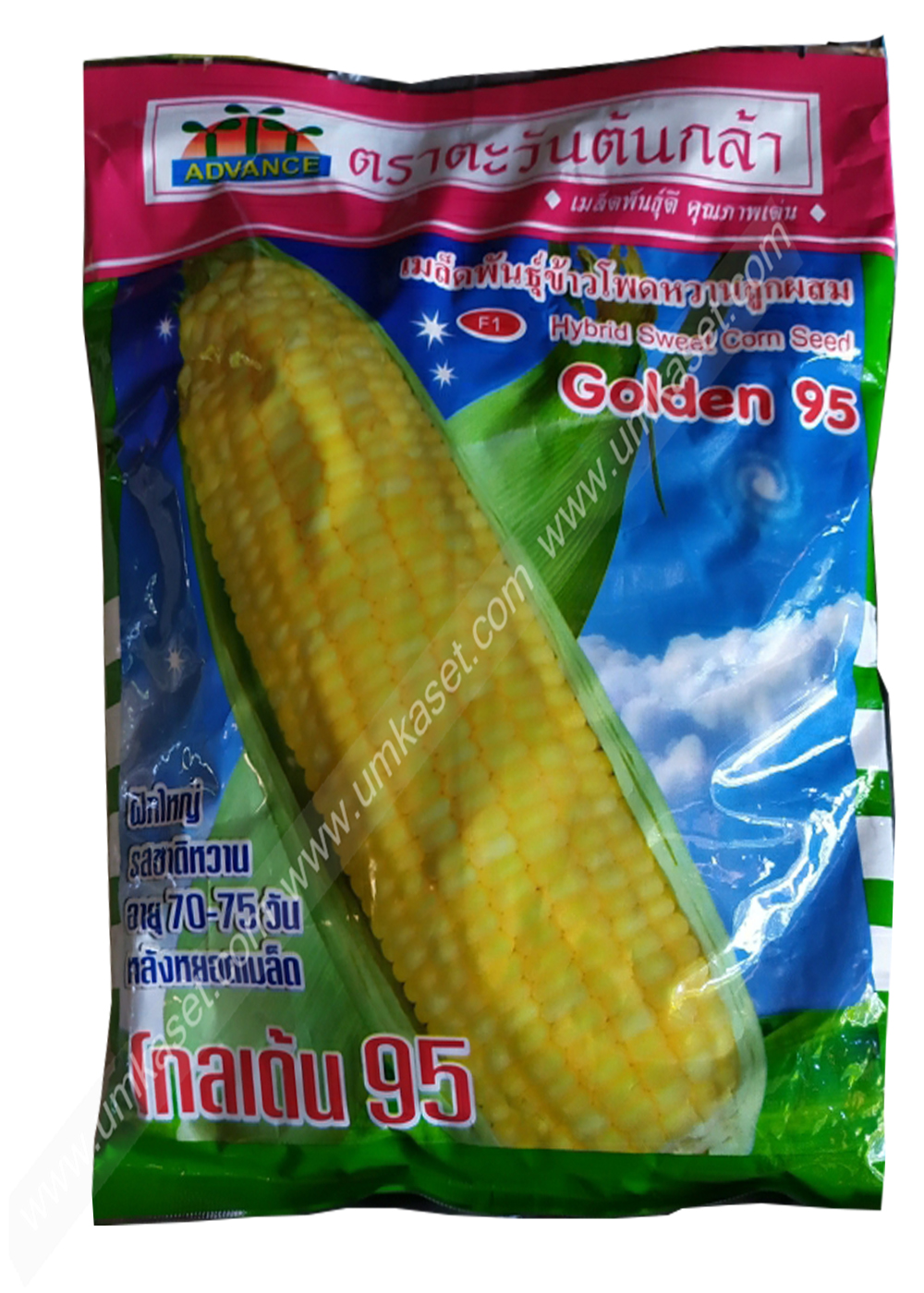 ข้าวโพดหวาน โกลเด้น95 ตะวันต้นกล้า 500 กรัม