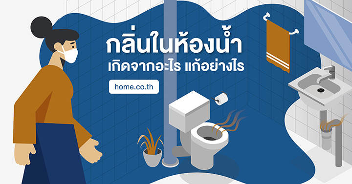 กลิ่นในห้องน้ำเกิดจาก