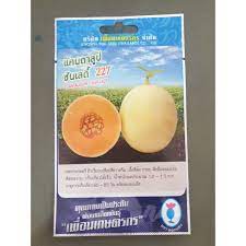 แคนตาลูป ซันเลดี้ 227 เพื่อนเกษตร 20 กรัม