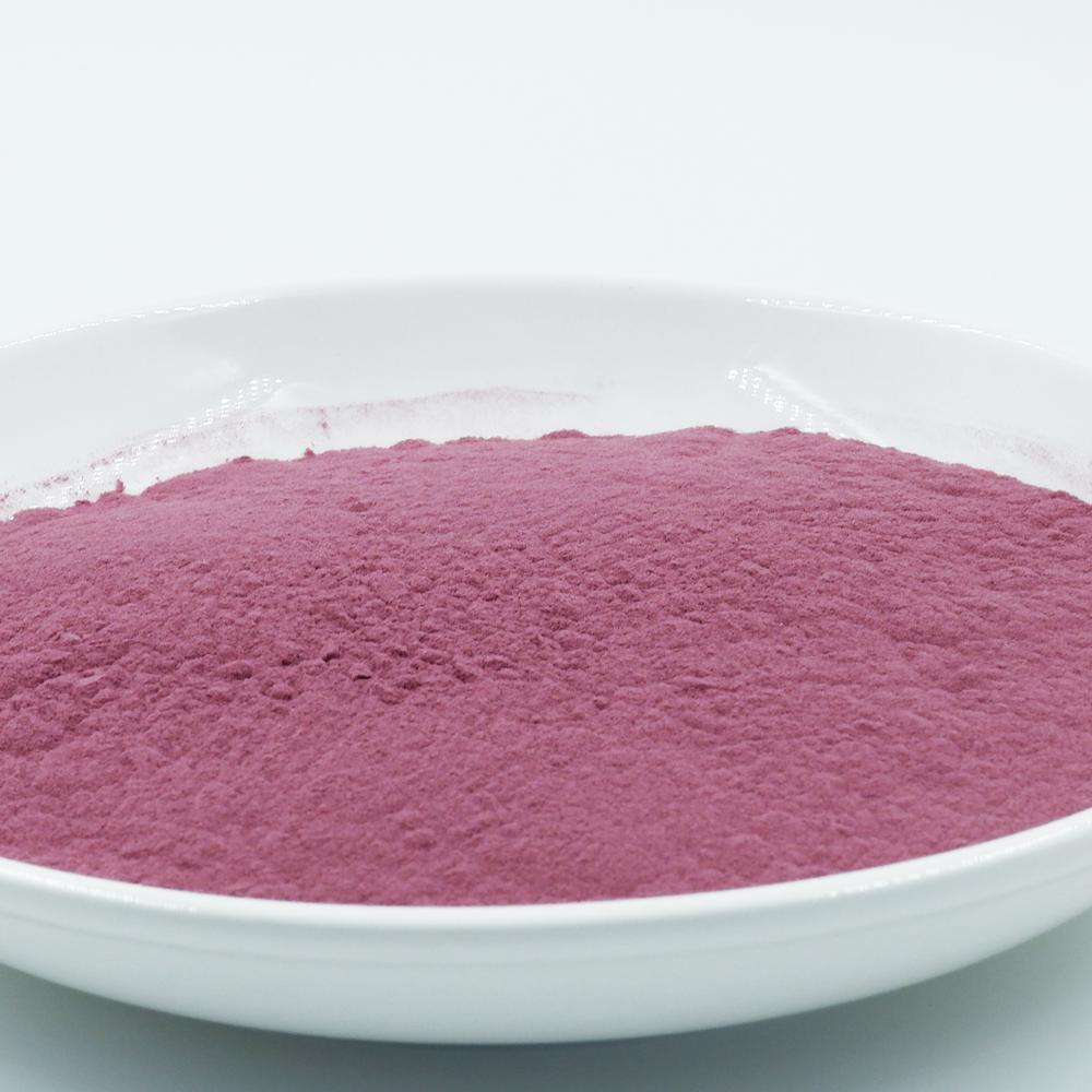 ผงเอลเดอร์เบอร์รี่ Elderberry Powder เกรดสารสกัด