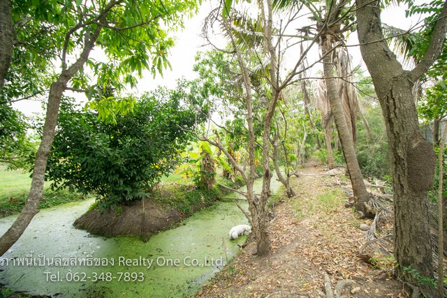 ให้เช่า ที่ดิน พร้อม บ้าน ร้านค้า ทำเลสวย สามชุก สุพรรณบุรี