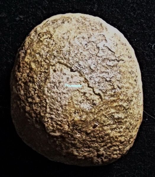 พระปิดตา เนื้อผงน้ำมัน กรุอัมพวา องค์จ้อย