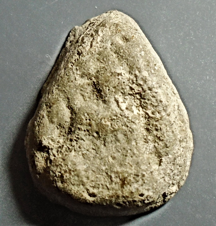 พระผงกลีบบัว พระครูใบฎีกาเกลี้ยง วัดสุทัศน์ ปี 2475