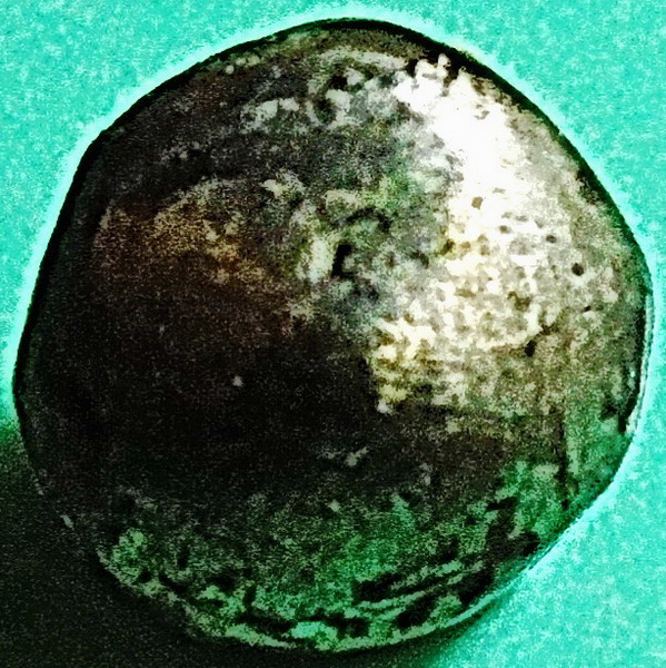 เมฆสิทธิ์ หลวงพ่อทับ วัดอนงค์ พิมพ์เม็ดกระดุม