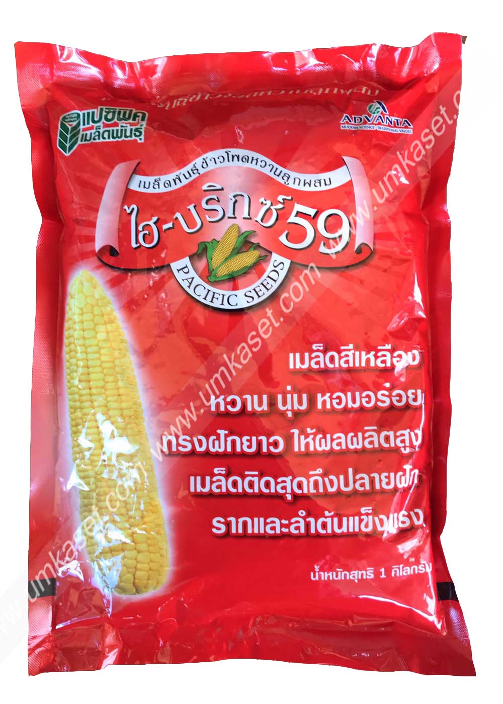 ข้าวโพดหวาน ไฮบริกซ์59 1 กิโล
