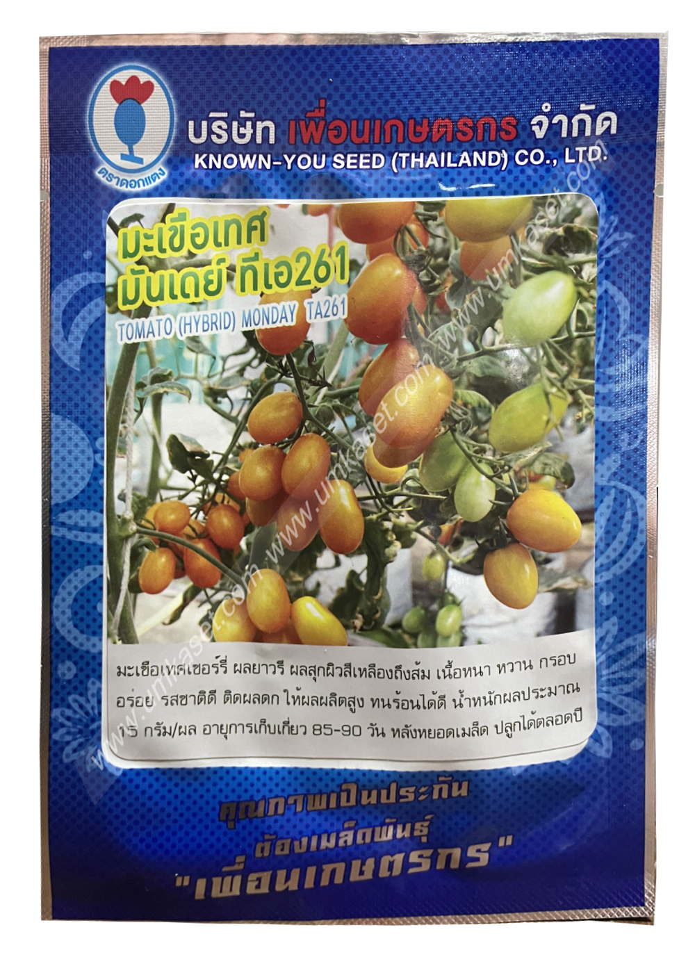 มะเขือเทศ มันเดย์ TA261 ( 5 กรัม )