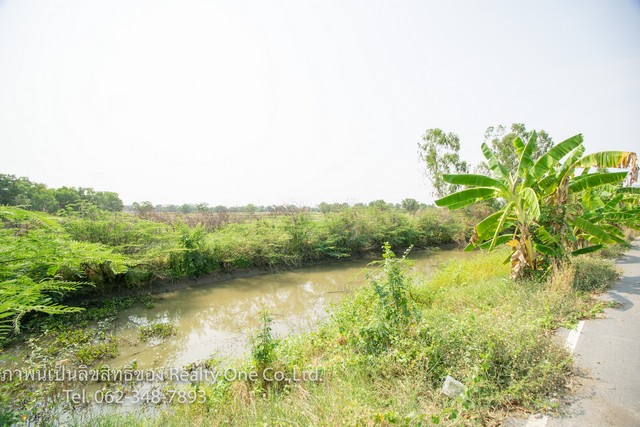 ขาย ที่ดิน ต.บ้านพร้าว อ.บ้านนา จ.นครนายก ใกล้ ถ.รังสิต-นครนายก